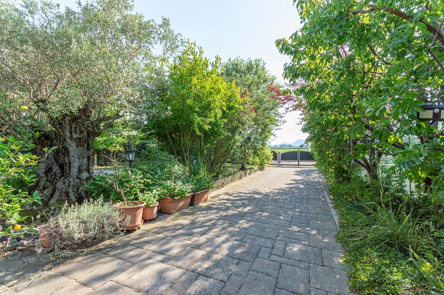 SPLENDIDA PORZIONE DI BIFAMILIARE CON AMPIO GIARDINO PRIVATO A DUE CARRARE (PD) — foto 29