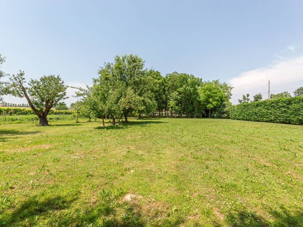 CASA DI CAMPAGNA IMMERSA IN UN'OASI DI 2000 MQ DI VERDE — foto 39