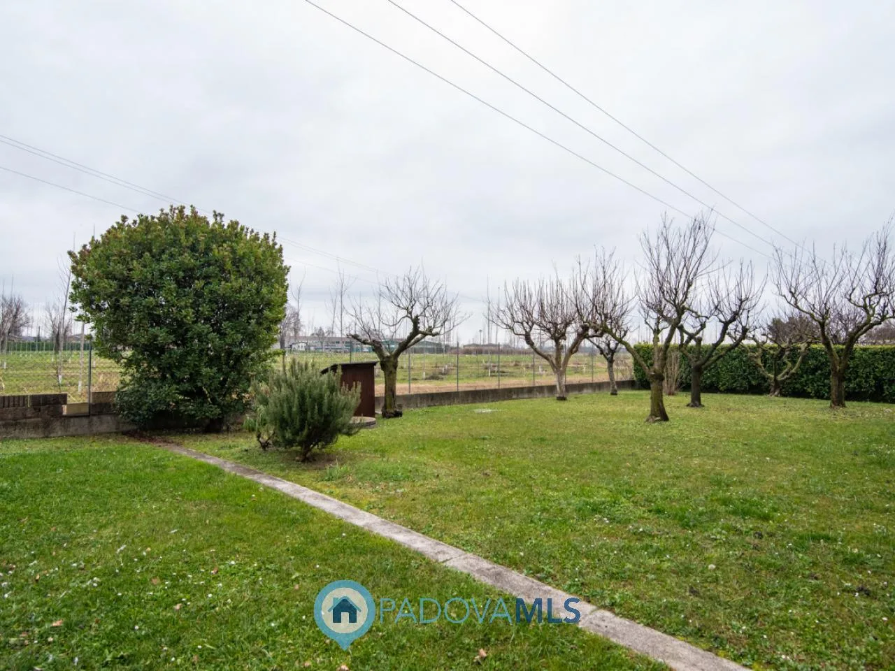 Villa - Due Carrare — foto 39